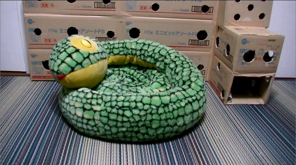 8/31 ヘビママベッドで眠るネコ吉にu2025